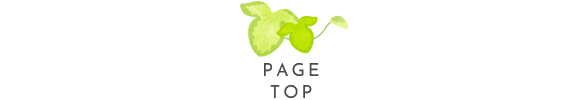pagetop